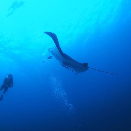 فندق Unwind Dhigurah ديجوراه المظهر الخارجي الصورة