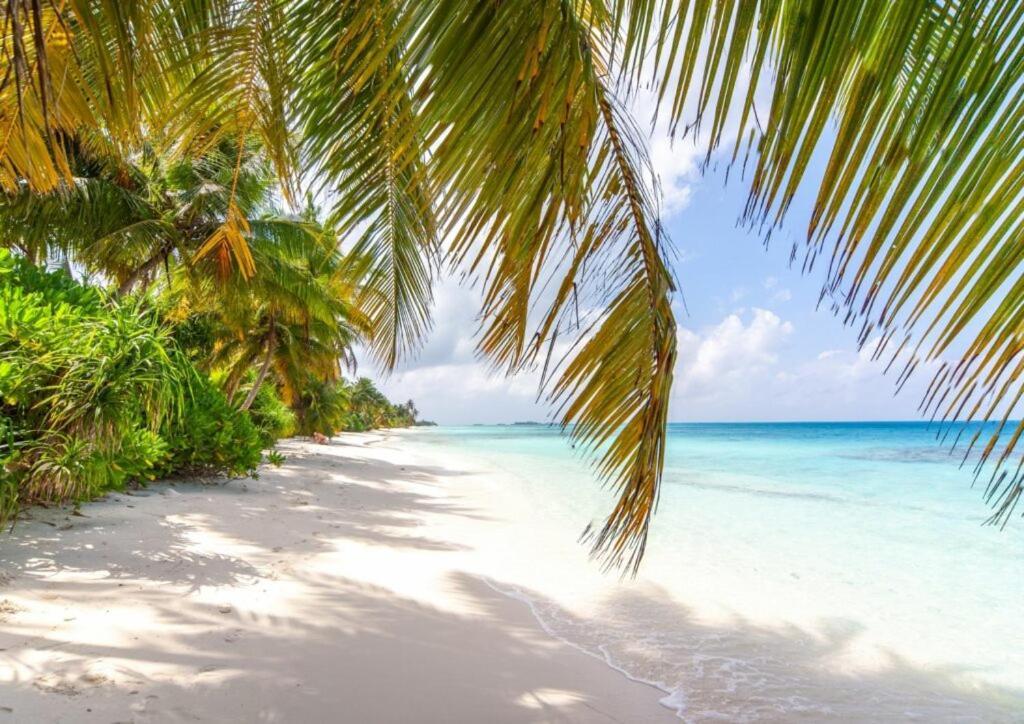 فندق Unwind Dhigurah ديجوراه المظهر الخارجي الصورة