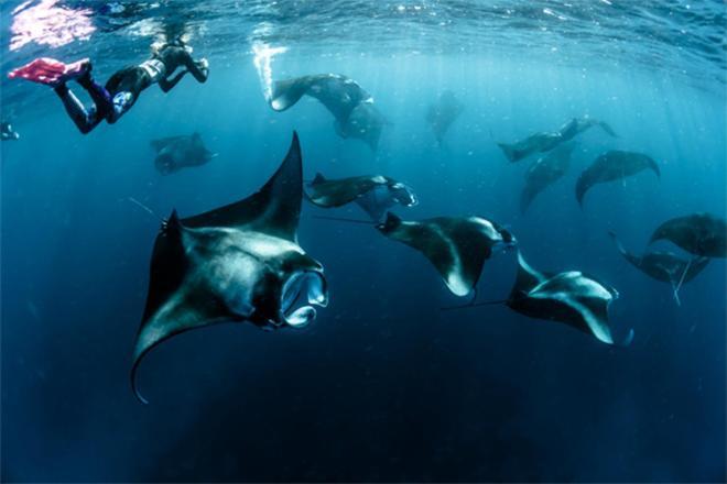 فندق Unwind Dhigurah ديجوراه المظهر الخارجي الصورة