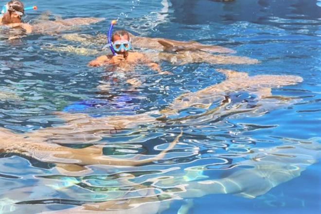 فندق Unwind Dhigurah ديجوراه المظهر الخارجي الصورة