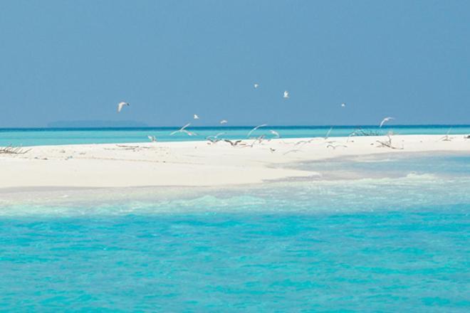فندق Unwind Dhigurah ديجوراه المظهر الخارجي الصورة