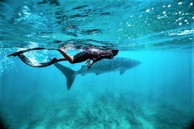 فندق Unwind Dhigurah ديجوراه المظهر الخارجي الصورة
