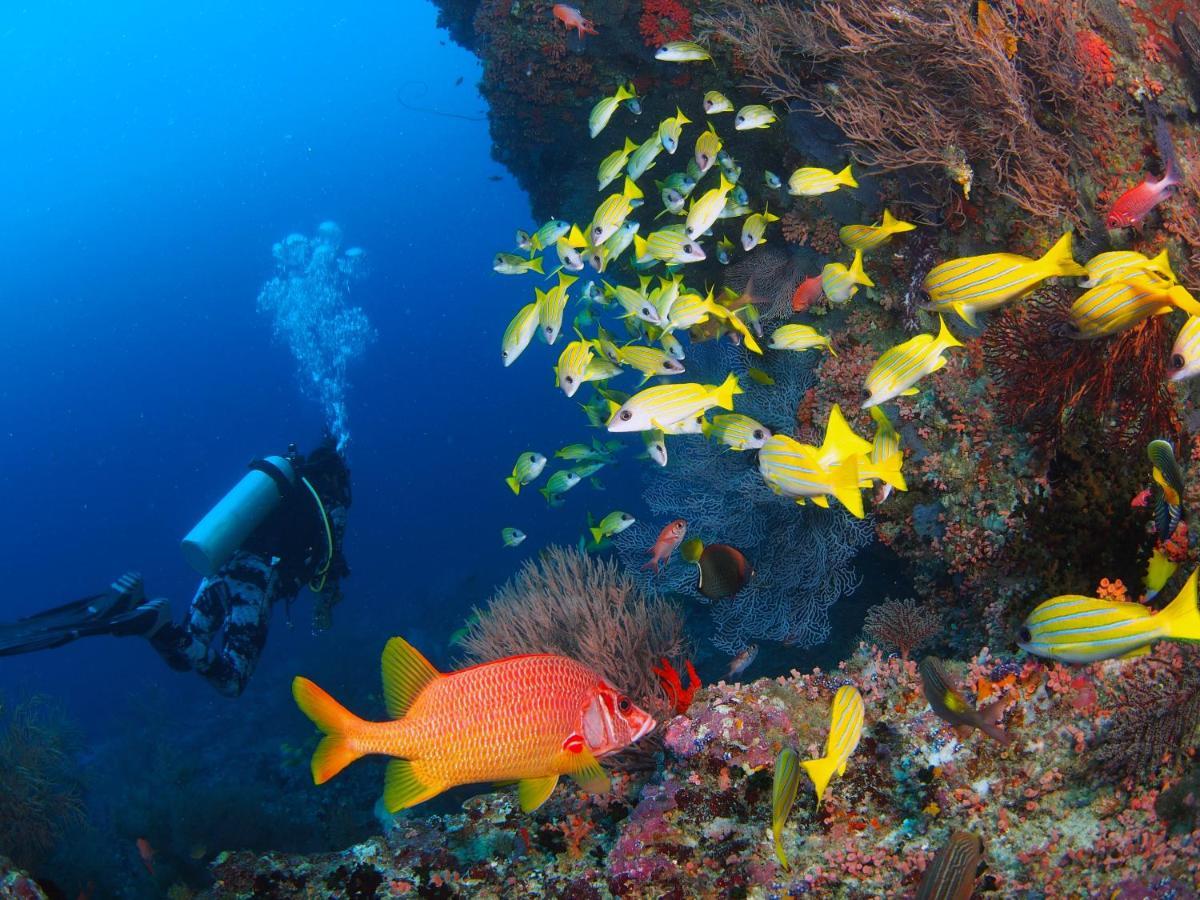 فندق Unwind Dhigurah ديجوراه المظهر الخارجي الصورة